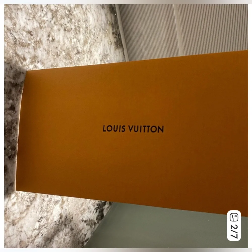 Louis Vuitton elegant louis